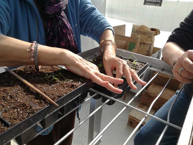 Actividad en el proyecto Ereiaro de horticultura terapéutica