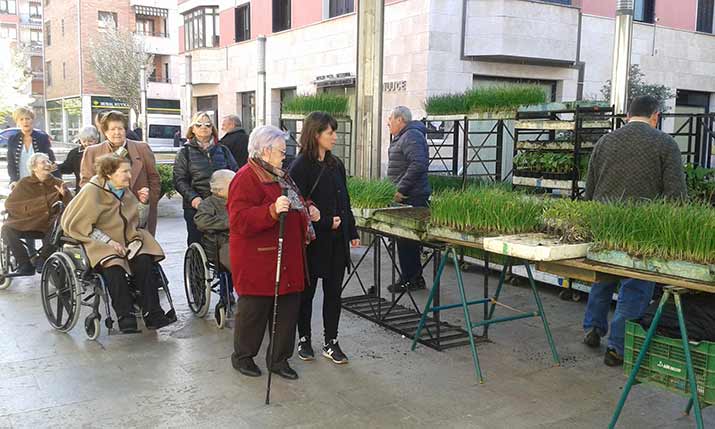 Residentes de la Residencia de personas mayores Santiago visitan el mercado de Villabona